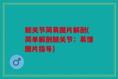 腿关节简易图片解剖(简单解剖腿关节：易懂图片指导)