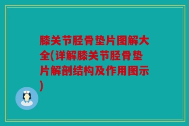 膝关节胫骨垫片图解大全(详解膝关节胫骨垫片解剖结构及作用图示)