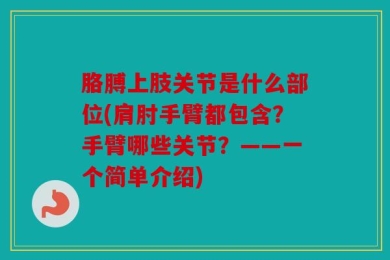 胳膊上肢关节是什么部位(肩肘手臂都包含？手臂哪些关节？——一个简单介绍)