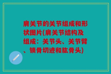 肩关节的关节组成和形状图片(肩关节结构及组成：关节头、关节臂、锁骨切迹和肱骨头)
