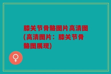 膝关节骨骼图片高清图(高清图片：膝关节骨骼图展现)
