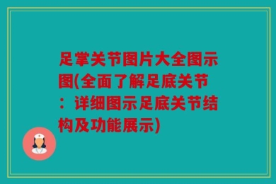 足掌关节图片大全图示图(全面了解足底关节：详细图示足底关节结构及功能展示)