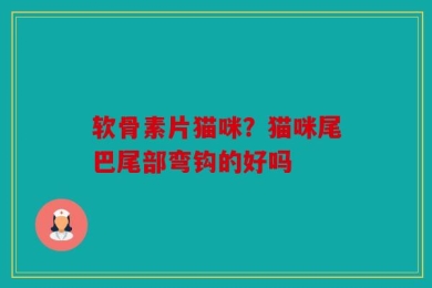 软骨素片猫咪？猫咪尾巴尾部弯钩的好吗