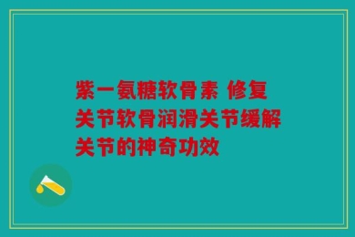 紫一氨糖软骨素 修复关节软骨润滑关节缓解关节的神奇功效