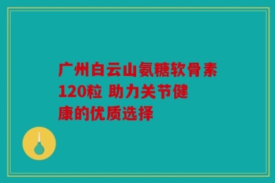 广州白云山氨糖软骨素120粒 助力关节健康的优质选择