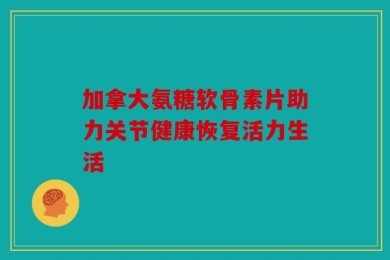 加拿大氨糖软骨素片助力关节健康恢复活力生活