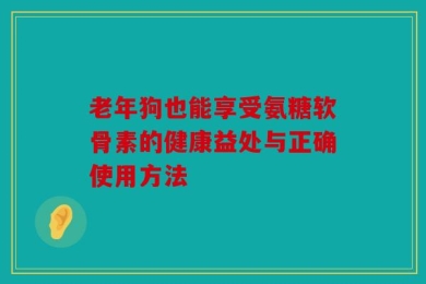 老年狗也能享受氨糖软骨素的健康益处与正确使用方法