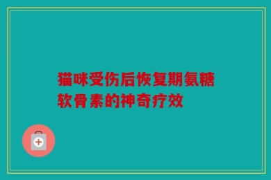 猫咪受伤后恢复期氨糖软骨素的神奇疗效