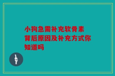 小狗急需补充软骨素 背后原因及补充方式你知道吗