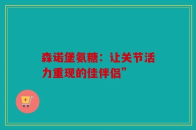 森诺堡氨糖：让关节活力重现的佳伴侣”