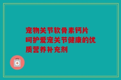 宠物关节软骨素钙片 呵护爱宠关节健康的优质营养补充剂