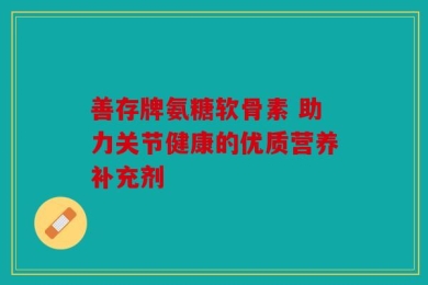 善存牌氨糖软骨素 助力关节健康的优质营养补充剂