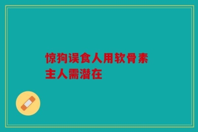 惊狗误食人用软骨素 主人需潜在