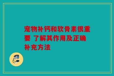 宠物补钙和软骨素很重要 了解其作用及正确补充方法