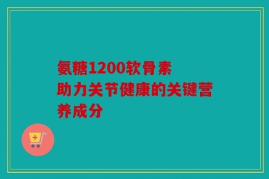 氨糖1200软骨素 助力关节健康的关键营养成分