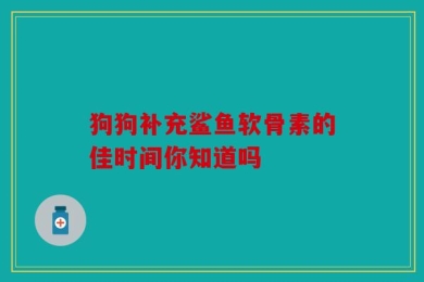 狗狗补充鲨鱼软骨素的佳时间你知道吗