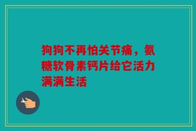 狗狗不再怕关节痛，氨糖软骨素钙片给它活力满满生活