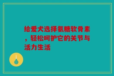 给爱犬选择氨糖软骨素，轻松呵护它的关节与活力生活