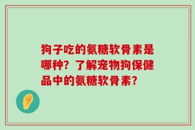 狗子吃的氨糖软骨素是哪种？了解宠物狗保健品中的氨糖软骨素？