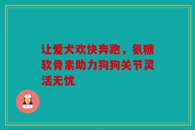 让爱犬欢快奔跑，氨糖软骨素助力狗狗关节灵活无忧