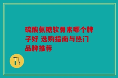 硫酸氨糖软骨素哪个牌子好 选购指南与热门品牌推荐