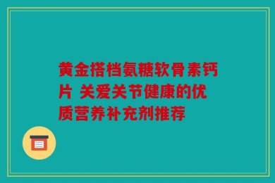 黄金搭档氨糖软骨素钙片 关爱关节健康的优质营养补充剂推荐