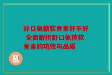 野口氨糖软骨素好不好 全面解析野口氨糖软骨素的功效与品质