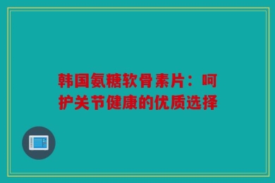 韩国氨糖软骨素片：呵护关节健康的优质选择