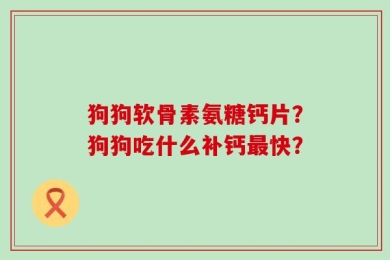 狗狗软骨素氨糖钙片？狗狗吃什么补钙最快？