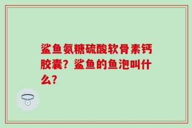 鲨鱼氨糖硫酸软骨素钙胶囊？鲨鱼的鱼泡叫什么？