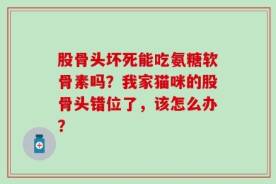 股骨头坏死能吃氨糖软骨素吗？我家猫咪的股骨头错位了，该怎么办？