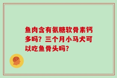 鱼肉含有氨糖软骨素钙多吗？三个月小马犬可以吃鱼骨头吗？