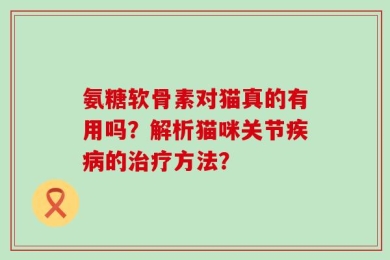 氨糖软骨素对猫真的有用吗？解析猫咪关节疾病的治疗方法？