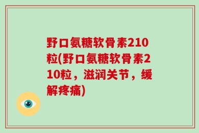野口氨糖软骨素210粒(野口氨糖软骨素210粒，滋润关节，缓解疼痛)