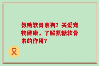 氨糖软骨素狗？关爱宠物健康，了解氨糖软骨素的作用？