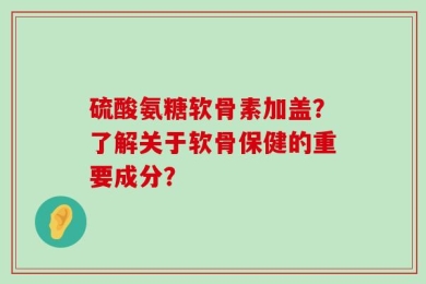 硫酸氨糖软骨素加盖？了解关于软骨保健的重要成分？