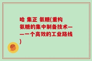 哈 集正 氨糖(重构氨糖的集中制备技术——一个高效的工业路线)
