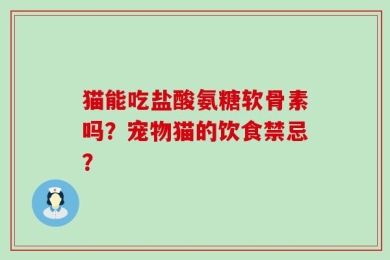 猫能吃盐酸氨糖软骨素吗？宠物猫的饮食禁忌？