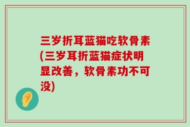 三岁折耳蓝猫吃软骨素(三岁耳折蓝猫症状明显改善，软骨素功不可没)