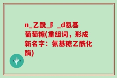 n_乙酰_阝_d氨基葡萄糖(重组词，形成新名字：氨基糖乙酰化酶)