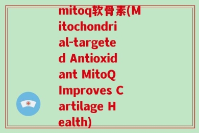 mitoq软骨素(Mitochondrial-targeted Antioxidant MitoQ Improves Cartilage Health)