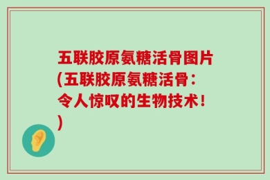 五联胶原氨糖活骨图片(五联胶原氨糖活骨：令人惊叹的生物技术！)
