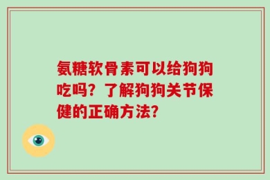 氨糖软骨素可以给狗狗吃吗？了解狗狗关节保健的正确方法？
