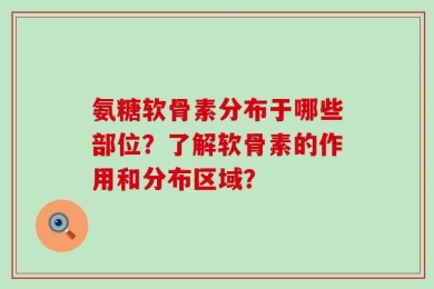 氨糖软骨素分布于哪些部位？了解软骨素的作用和分布区域？