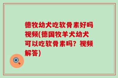 德牧幼犬吃软骨素好吗视频(德国牧羊犬幼犬可以吃软骨素吗？视频解答)
