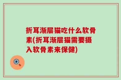 折耳渐层猫吃什么软骨素(折耳渐层猫需要摄入软骨素来保健)
