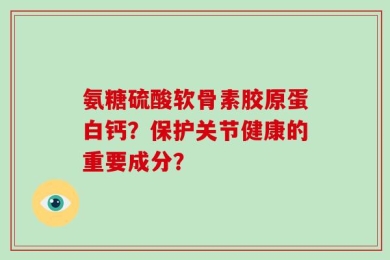 氨糖硫酸软骨素胶原蛋白钙？保护关节健康的重要成分？