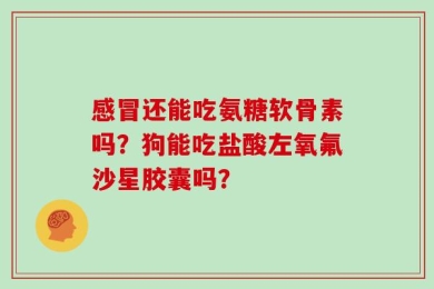 感冒还能吃氨糖软骨素吗？狗能吃盐酸左氧氟沙星胶囊吗？