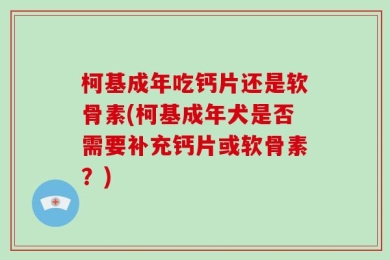柯基成年吃钙片还是软骨素(柯基成年犬是否需要补充钙片或软骨素？)