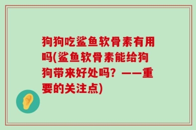 狗狗吃鲨鱼软骨素有用吗(鲨鱼软骨素能给狗狗带来好处吗？——重要的关注点)
